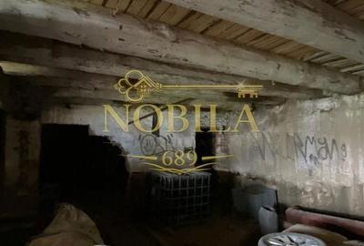 Spațiu comercial, în Agăș - 8