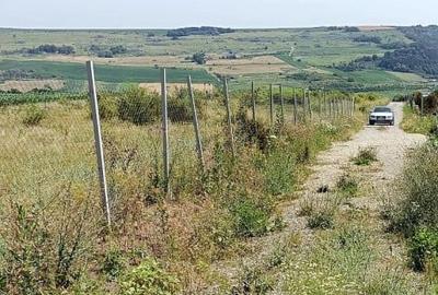 Teren agricol extravilan de 4527 mp, în Exterior Nord - 8