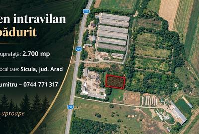 Teren intravilan de 2700 mp, în Șicula