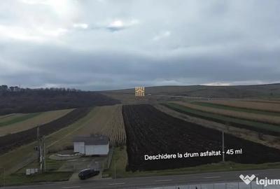 Teren de 14066 mp, în Mihoveni