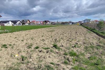 Teren de 2500 mp, în Căpățânești