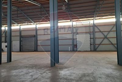 Spațiu industrial, de 1,000 mp, în Tunari - 3
