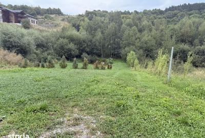 Teren de 971 mp, în Făget