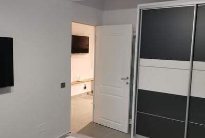 Apartament cu 2 camere semidecomandat în Dosu Bricii