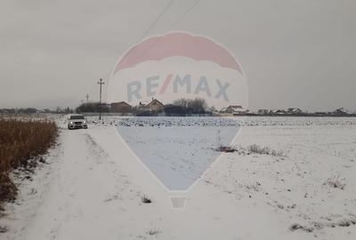 Teren Construcții intravilan de 5460 mp, în Stupini - 8