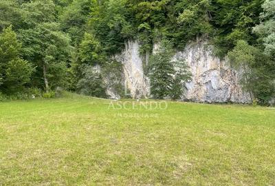 Teren de 4500 mp, în Dâmbovicioara - 3