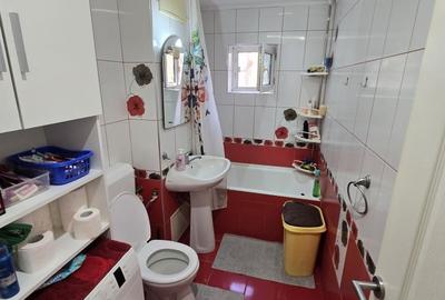 Apartament cu 3 camere decomandat, mobilat în Micălaca - 6