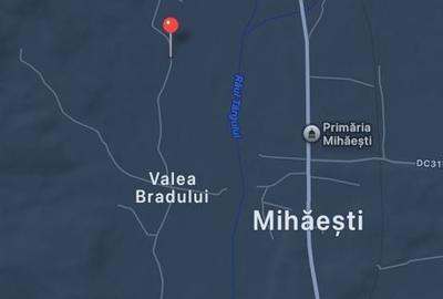 Teren de 7500 mp, în Mihăești - 3