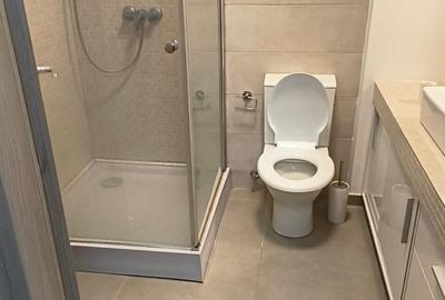Garsonieră semidecomandată, mobilată în Grozăvești - 11