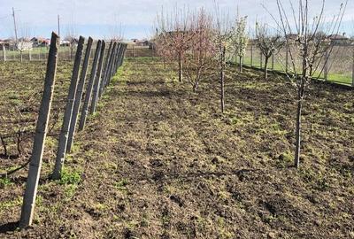 Casă cu Teren 3050 Mp în Belcești - 3