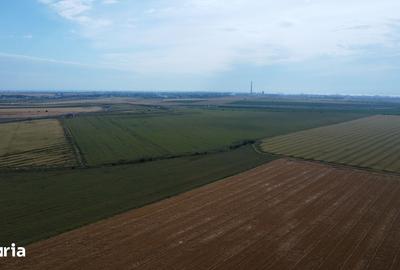 Teren de 47300 mp, în Cumpăna - 5