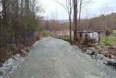 Teren de 980 mp, în Ciurila