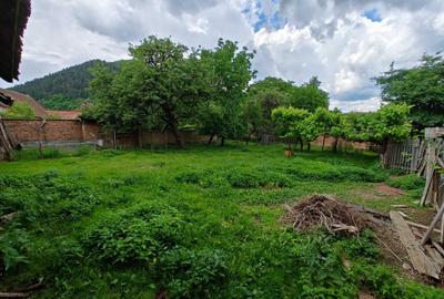 Casă cu 3 camere în Gura Râului - 5
