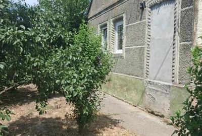 Casă individuală cu 3 camere cu Teren 1539 Mp în Beregsău Mare - 1
