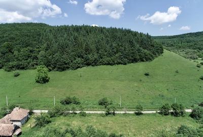 Teren de 8000 mp, în Micești - 4