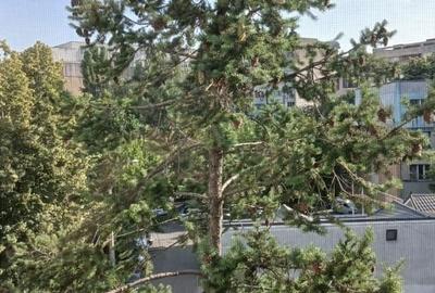 Apartament cu 2 camere decomandat în Gorjului - 2