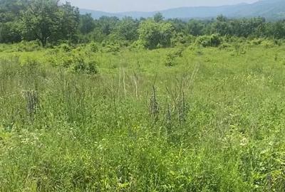 Teren de 2500 mp, în Central