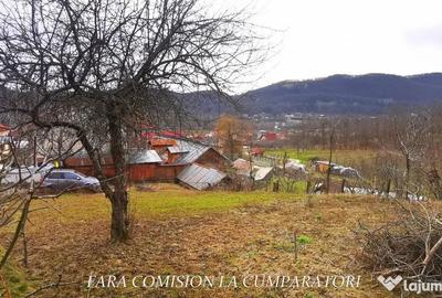 Teren în Vlădesti - 2