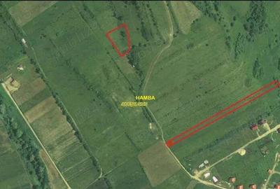 Teren de 2500 mp, în Hamba - 1