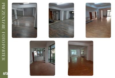 Spațiu comercial, de 561 mp, în Mazepa 2