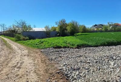 Teren de 460 mp, în Dascălu - 2