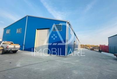 Spațiu industrial, de 1,000 mp, în Narciselor - 9