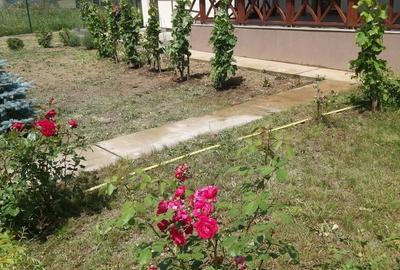 Casă cu 5 camere cu Teren 521 Mp în Balotești