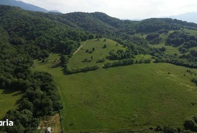 Teren de 11000 mp, în Cheile Râșnoavei - 1