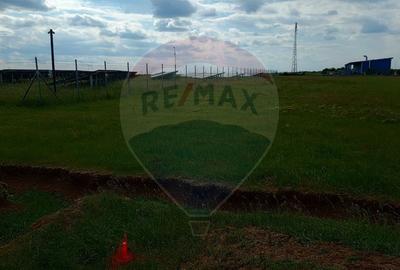 Teren agricol intravilan de 11000 mp, în Frumușeni - 3