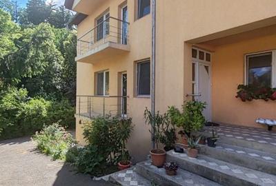Casă cu 10 camere cu Teren 700 Mp în Valea Roșie - 11