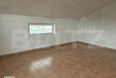 Spațiu comercial, de 880 mp, în Cutiș