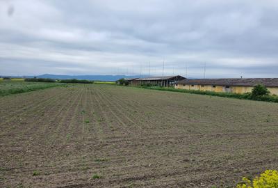 Teren Construcții intravilan de 11000 mp, în Nord-Vest