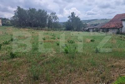 Teren în Borșa