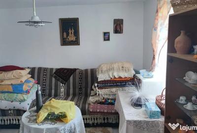 Casă cu 2 camere cu Teren 2000 Mp în David - 12