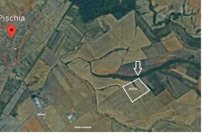 Teren de 290000 mp, în Pișchia
