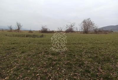 Teren agricol extravilan de 19611 mp, în Livezile - 2