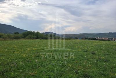 Teren agricol extravilan de 1500 mp, în Orlat - 5