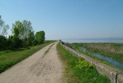 Teren de 8000 mp, în Drăgoești - 6