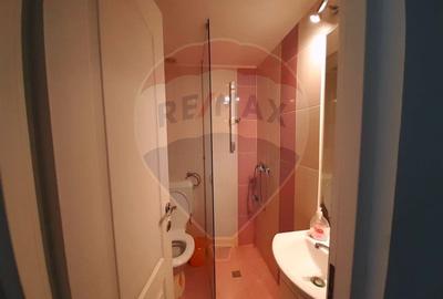 Casă individuală cu 7 camere cu Teren 3580 Mp în Tohănița - 27