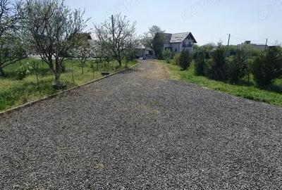 Casă cu 4 camere cu Teren 5800 Mp în Tăuții-Măgherăuș - 3