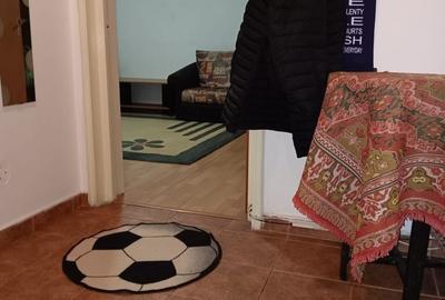 Apartament cu 2 camere semidecomandat în Ozana