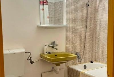 Garsonieră semidecomandată în Craiovița Nouă - 3