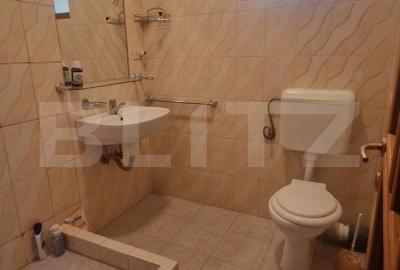 Casă individuală cu 8 camere cu Canalizare în Craiter - 8