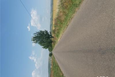 Teren de 5000 mp, în Pleașa - 1