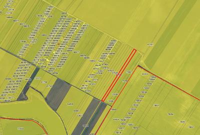 Teren agricol extravilan de 10000 mp, în Berceni - 2