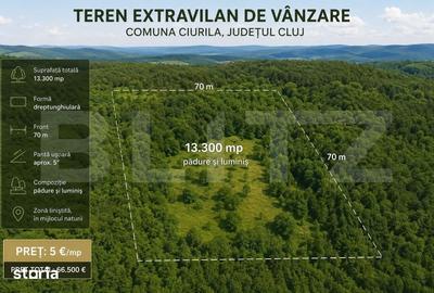 Teren de 13300 mp, în Gheorgheni