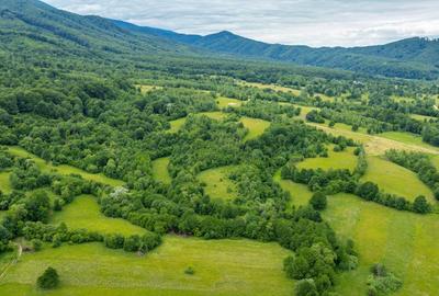 Teren agricol extravilan de 18860 mp, în Șinca Nouă - 15