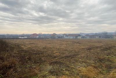 Teren de 7500 mp, în Dușești