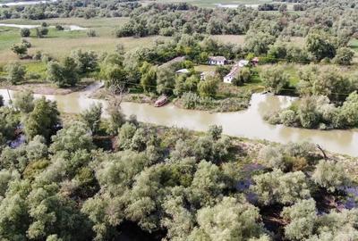 Teren de 11862 mp, în Vulturu