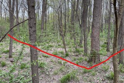 Teren intravilan de 755 mp, în Ostroveni - 7